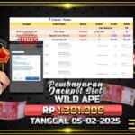 BUKTI JACKPOT SLOT WILD APE TERPERCAYA DI INDONESIA TGL 05-02-2025