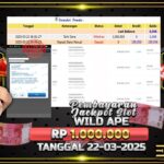 BUKTI JACKPOT SLOT WILD APE TERPERCAYA DI INDONESIA TGL 22-03-2025