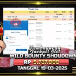 BUKTI JACKPOT SLOT WILD BOUNTY SHOWDOWN TERPERCAYA DI INDONESIA TGL 19-03-2025